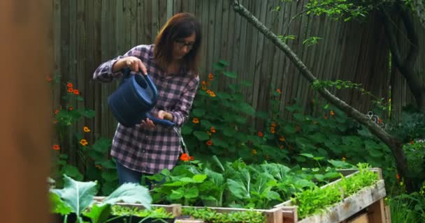 Ώριμη Γυναίκα Πότισμα Φυτών Στον Κήπο Μια Ηλιόλουστη Ημέρα — Αρχείο Βίντεο