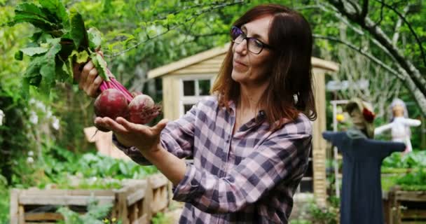 の庭でビートの野菜を保持している成熟した女性 — ストック動画