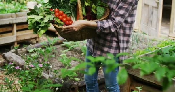 Rijpe Vrouw Met Mand Van Groenten Tuin — Stockvideo