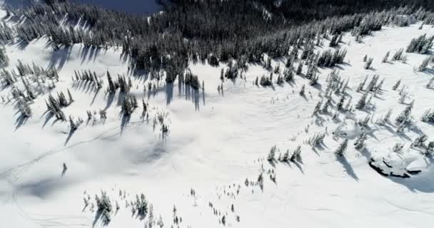 の間に美しい雪を頂いた山 — ストック動画