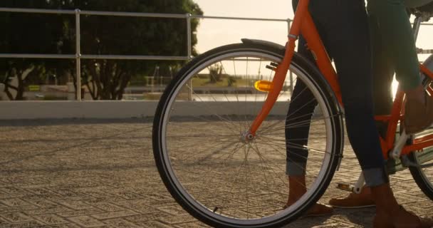 Coppia Romantica Che Interagisce Tra Loro Bicicletta Spiaggia — Video Stock