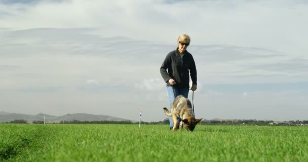 Pastor Perro Caminando Con Dueño Granja Verde — Vídeo de stock