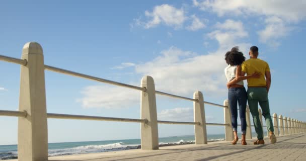 在阳光明媚的日子里 情侣一起漫步在海滩上的后景色4K — 图库视频影像