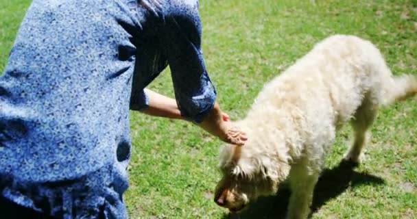 Mujer Madura Acariciando Perro Jardín Día Soleado — Vídeos de Stock