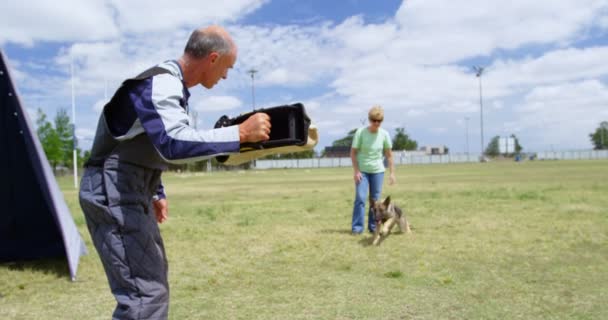 Trainer Training Een Herder Het Veld Een Zonnige Dag — Stockvideo