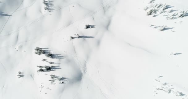 Skiër Skiën Een Sneeuw Bedekte Berg Winter — Stockvideo