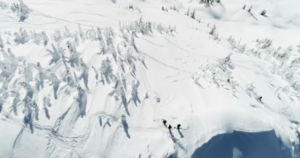 Esquiadores Pie Una Montaña Cubierta Nieve Durante Invierno — Vídeos de Stock