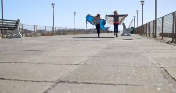 Hermanos Divirtiéndose Cerca Playa Día Soleado — Vídeos de Stock