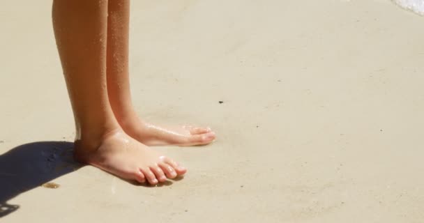 Низкая Часть Девушки Стоящей Берегу Пляжа — стоковое видео