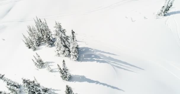 Skiër Skiën Een Sneeuw Bedekte Berg Winter — Stockvideo