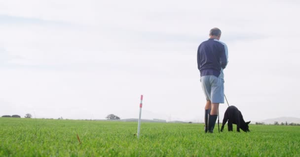 Schäferhund Spaziert Mit Herrchen Grünen Bauernhof — Stockvideo
