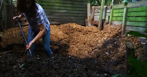 Mulher Madura Usando Garfo Jardinagem Jardim Dia Ensolarado — Vídeo de Stock