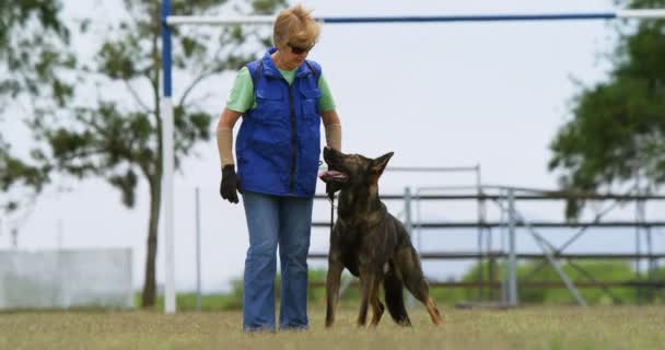 Vallhund Med Sin Ägare Fältet Solig Dag — Stockvideo