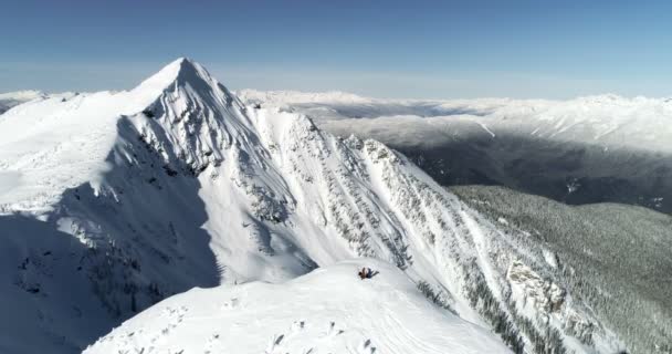 Skidåkare Står Snow Capped Berg Vintern — Stockvideo