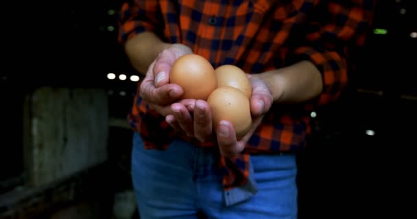 Mid Section Woman Holding Brown Eggs Pen — Stock Video