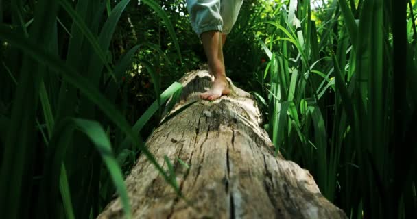 Lage Deel Van Vrouw Lopen Een Houten Log Het Park — Stockvideo