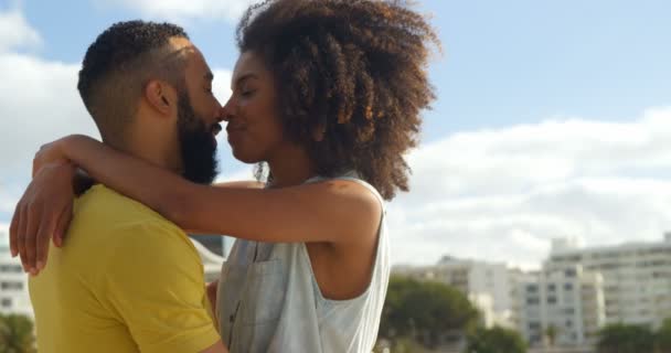 Ζευγάρι Φιλιούνται Στην Παραλία Μια Ηλιόλουστη Ημέρα — Αρχείο Βίντεο