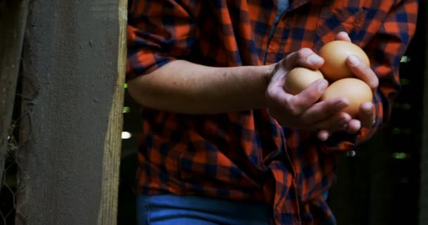 Sección Media Mujer Sosteniendo Huevos Marrones Pluma — Vídeo de stock