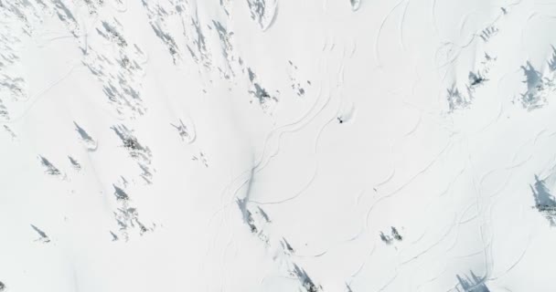 Esqui Esquiador Uma Montanha Coberta Neve Durante Inverno — Vídeo de Stock