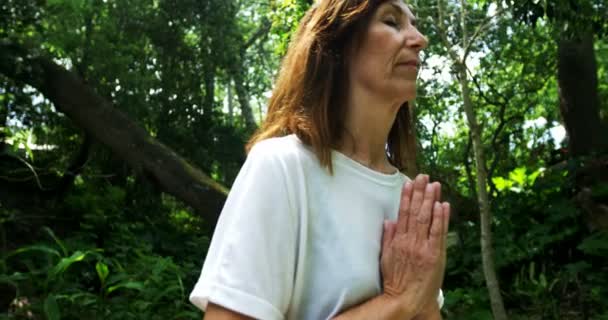 Mujer Madura Realizando Yoga Parque Día Soleado — Vídeos de Stock