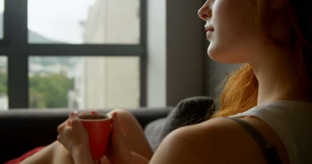 女性ホーム でリビング ルームでコーヒーを飲んで — ストック動画