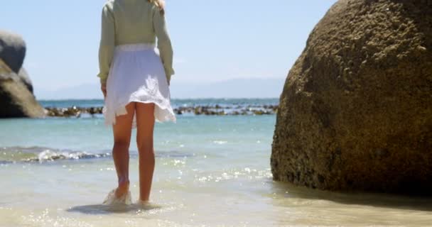 Vista Posteriore Della Ragazza Che Cammina Sull Acqua Spiaggia — Video Stock