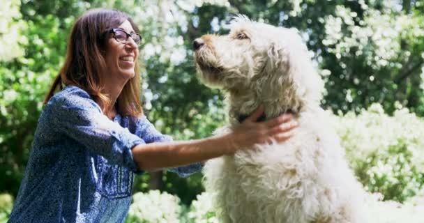 Ώριμη Γυναίκα Χάιδεμα Σκύλο Στον Κήπο Μια Ηλιόλουστη Ημέρα — Αρχείο Βίντεο