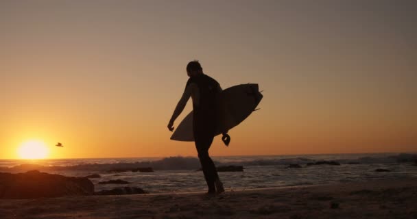 ビーチ にサーフボードを抱えて歩いてくる男性のシルエット — ストック動画