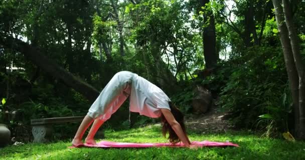 Mogen Kvinna Utför Yoga Parken Solig Dag — Stockvideo