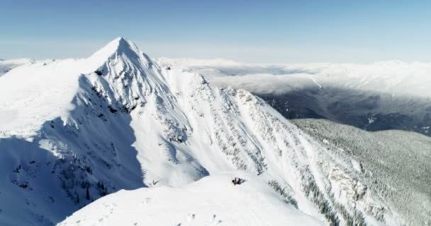 Skieurs Debout Sur Une Montagne Enneigée Pendant Hiver — Video