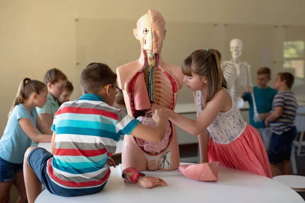 Vue Latérale Garçon Une Fille École Élémentaire Caucasienne Travaillant Avec — Photo