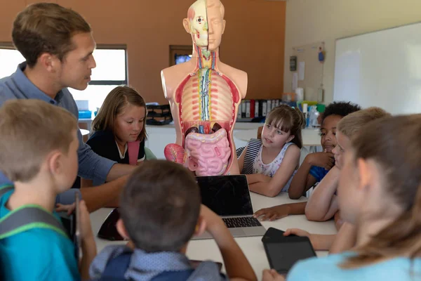 Vista Laterale Insegnante Maschio Caucasico Che Utilizza Modello Anatomia Umana — Foto Stock