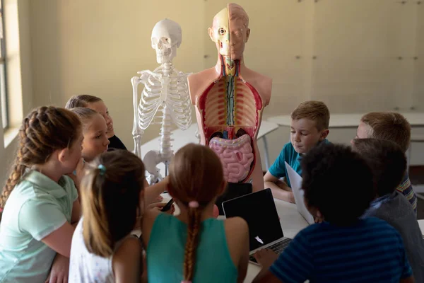 Visão Traseira Grupo Diversificado Crianças Ensino Fundamental Sentadas Uma Mesa — Fotografia de Stock