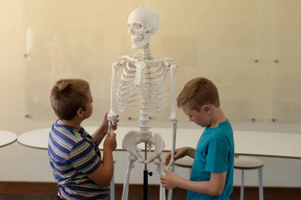 Vista Lateral Dos Niños Escuela Primaria Caucásica Trabajando Con Modelo — Foto de Stock