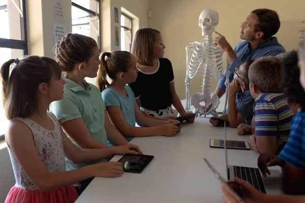Oldalnézet Egy Kaukázusi Férfi Tanár Segítségével Modell Egy Emberi Csontváz — Stock Fotó