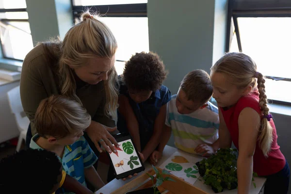 Hoge Hoek Uitzicht Een Blanke Vrouwelijke Basisschooljuf Met Lang Blond — Stockfoto