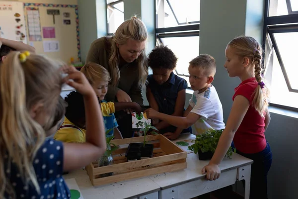 Vooraanzicht Van Een Blanke Vrouwelijke Basisschooljuf Met Lang Blond Haar — Stockfoto