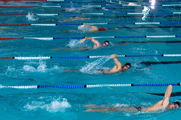 High Angle Side View Multi Ethnic Group Male Swimmers Swimming — Stok fotoğraf