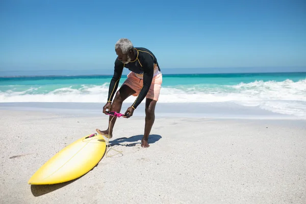 Front View Senior African American Man Beach Sun Attaching Leash — 스톡 사진