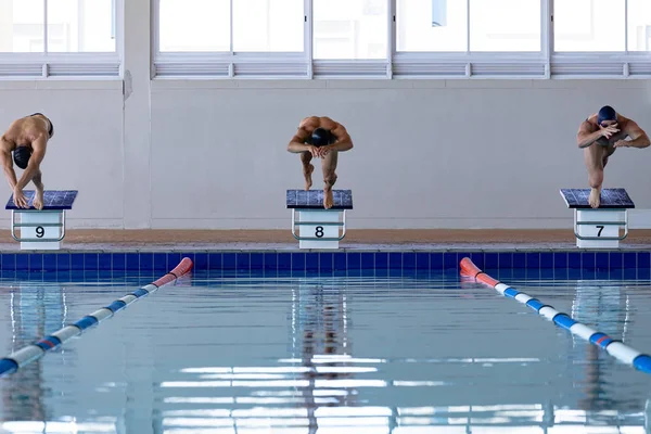 三个白人男子游泳运动员在游泳池前 跳下起跳块 跳入水中 游泳运动员为比赛而刻苦训练 — 图库照片