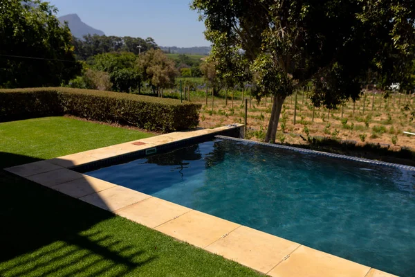 Vista Una Piscina Tranquilo Jardín Verde Hermoso Día Soleado Inicio —  Fotos de Stock