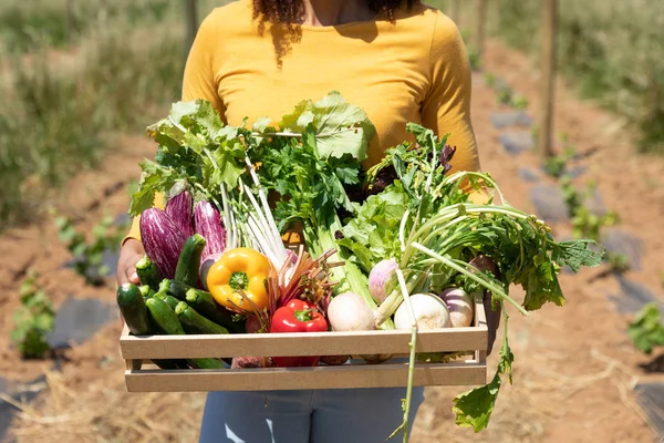 新鮮な有機野菜の箱を持った農場に立つ女性の正面図 — ストック写真