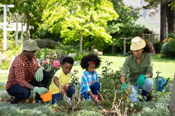 Vista Frontal Pareja Afroamericana Con Hijo Pequeño Hija Jardín Jardinería —  Fotos de Stock