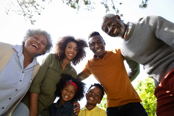 Retrato Baixo Ângulo Uma Família Afro Americana Várias Gerações Jardim — Fotografia de Stock