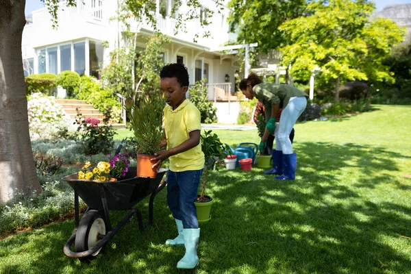 Widok Przodu Afroamerykańskiego Chłopca Ogrodzie Trzymającego Roślinę Przy Taczce Rodzicami — Zdjęcie stockowe