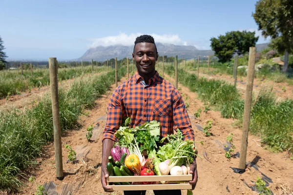 新鮮な有機野菜の箱を持っている農業分野に立って幸せなアフリカ系アメリカ人の男性の肖像画 — ストック写真