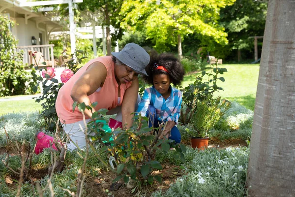 Vista Frontal Una Abuela Afroamericana Con Nieta Jardín Rodillas Jardinería — Foto de Stock