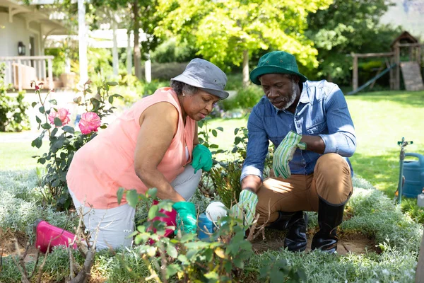 Vooraanzicht Van Senior Afro Amerikaans Echtpaar Tuin Knielend Tuinierend Samen — Stockfoto