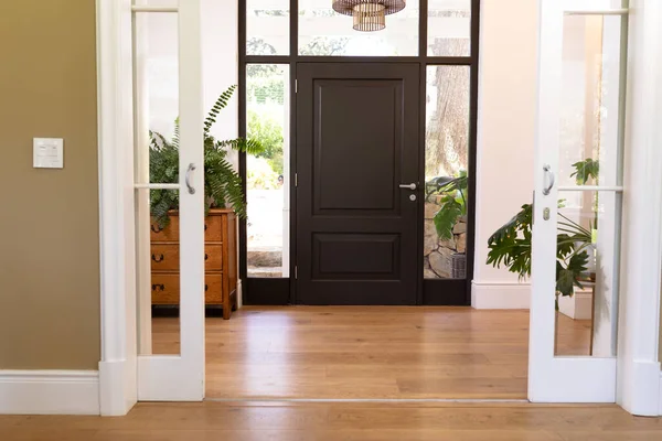 Interior Una Casa Pasillo Puerta Cerrada Con Lámpara Colgante Plantas — Foto de Stock