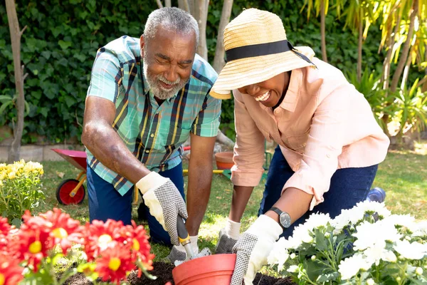 Kıdemli Afrikalı Amerikalı Çift Güneşli Bir Günde Bahçelerinde Çiçek Ekerek — Stok fotoğraf